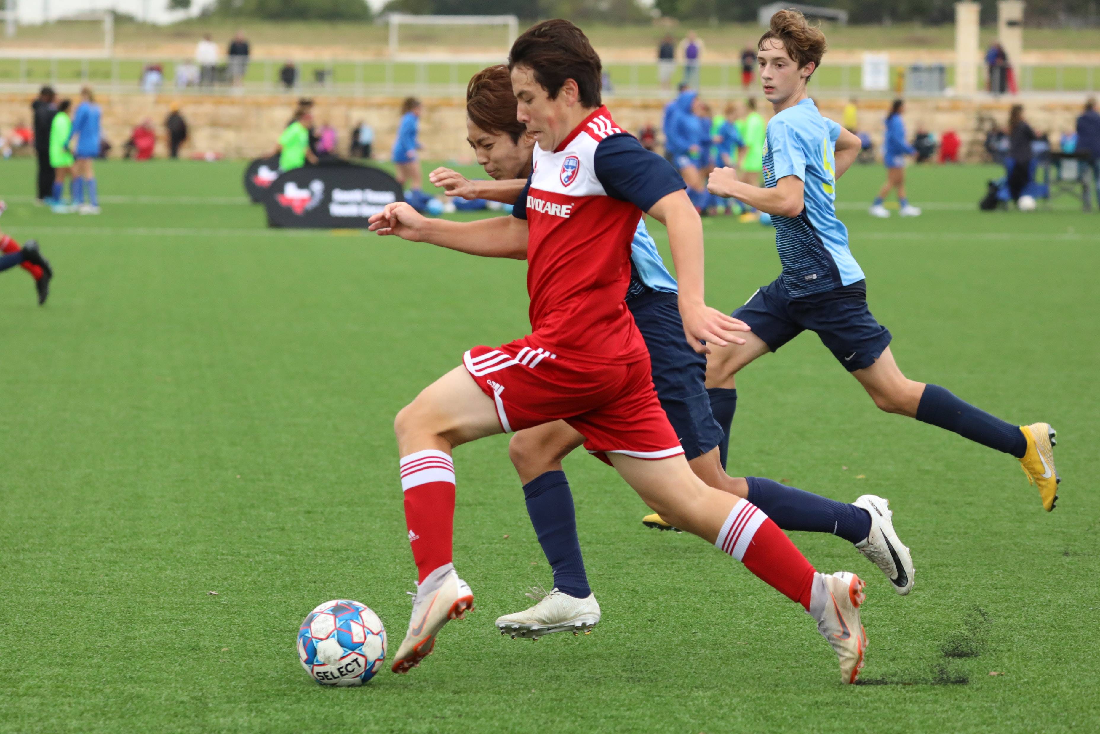 而是具备多 而是具备多